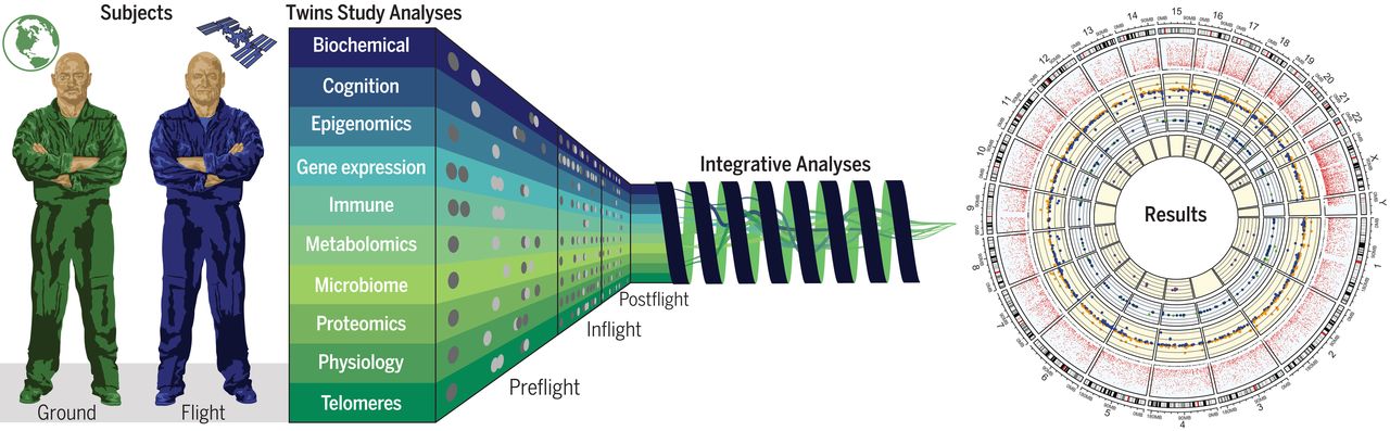 Biological Effects Of Space Travel – Part 3 of 5 Parts